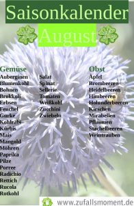 Saisonkalender_August